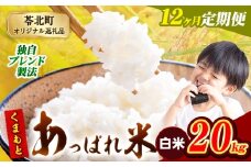 【12ヶ月定期便】熊本県産 くまもとあっぱれ米 ブレンド米 20kg 熊本県産 ふるさと納税 白米 精米 米 こめ ふるさとのうぜい コメ お米 おこめ《お申込み月の翌月から発送予定》