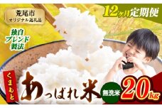 【12ヶ月定期便】熊本県産 くまもとあっぱれ米 ブレンド米 20kg 熊本県産 ふるさと納税 無洗米 精米 米 こめ ふるさとのうぜい コメ お米 おこめ《お申込み月の翌月から発送予定》