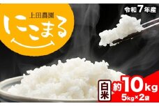 令和7年産 米 にこまる 約10kg (5kg×2袋) こめ コメ 白米 上田農園《10月中旬-11月中旬頃出荷》 熊本県 荒尾市 米 白米 こめ