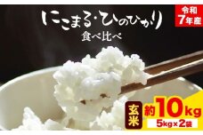 令和7年産 米 にこまる ひのひかり 食べ比べ 約10kg ( 各 5kg ) こめ コメ 玄米 上田農園《10月中旬-11月中旬頃出荷》 熊本県 荒尾市 