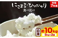 令和7年産 米 にこまる ひのひかり 食べ比べ 約10kg ( 各 5kg ) こめ コメ 白米 上田農園《10月中旬-11月中旬頃出荷》 熊本県 荒尾市 
