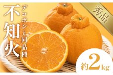 不知火 デコポン 同品種  約2k 日本フルーツ株式会社 熊本県 荒尾市 《1月下旬-2月末頃出荷予定》 デコポン 果物 秀品 フルーツ スイーツ デザート ギフト ご贈答