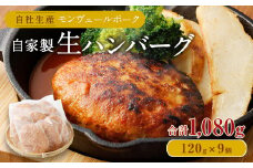 熊本県産モンヴェールポーク自家製生 ハンバーグ 約1kg(120g×9個)