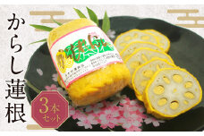 からし蓮根 3本入り セット 熊本名物 郷土料理 おつまみ