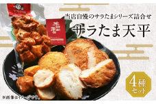サラたま天平（ 天ぷら ）セット 練り物 かまぼこ おやつ