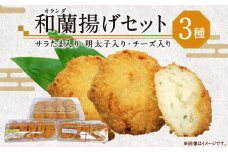 和蘭（オランダ）揚げセット かまぼこ 練り物 おつまみ