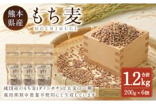 もち麦 計1.2kg（ 200g×6個 ） 水俣市 もち麦工房