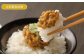 自家製味噌豚 盛り付けイメージ