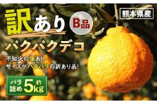 パクパクデコ 5kg バラ詰め 訳あり（B品） 不知火【2026年2月下旬-6月下旬発送】