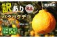 パクパクデコ 5kg バラ詰め 訳あり（B品）