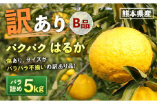 パクパクはるか 5kg バラ詰め 訳あり（B品） みかん ミカン 柑橘 果物 フルーツ【2026年2月下旬-6月下旬発送】