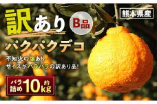 パクパクデコ 10kg バラ詰め 訳あり（B品） 不知火 果物 くだもの フルーツ【2026年2月下旬-6月下旬発送】