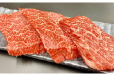 熊本県産和牛 くまもとあか牛 モモステーキ 計300g (100g×3枚)