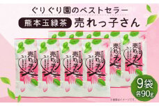 熊本 玉緑茶「売れっ子さん」90g×9袋 緑茶 茶葉 セット