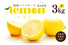 環境マイスターのレモン 3kg（栽培期間中は無肥料・無農薬）【2024年11月上旬‐2025年4月下旬迄順次発送予定】