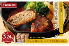 【 定期便 年3回 隔月】モンヴェールポーク 自家製生ハンバーグ 9個 120g×9個を3回お届け