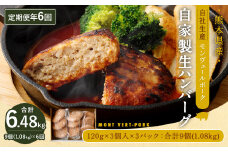 【 定期便 年6回 隔月】モンヴェール ポーク 自家製 生ハンバーグ 9個×6回