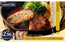 【 定期便 年12回 】 モンヴェールポーク 自家製 生ハンバーグ 9個 120g×9個を12回お届け