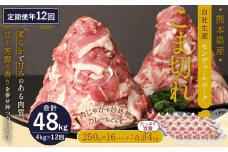 【 定期便 年12回 】 モンヴェールポーク こま切れ 4kg (250g×16) 12回お届け