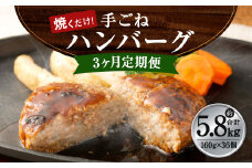 【3ヶ月定期便】手ごね ハンバーグ 約5.76kg（160g×12個）×3回