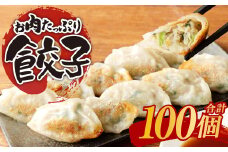お肉たっぷり餃子 約2kg（10個入×10パック）ぎょうざ
