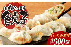 【6ヶ月定期便】お肉たっぷり餃子 約12kg（10個入×10パック×6回）