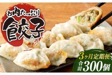 【3ヶ月定期便】お肉たっぷり餃子 約6kg（10個入×10パック×3回）