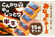 みなまたチーズ 計600g (40g×15個) ケーキ お菓子 冷凍