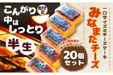 みなまた チーズ 計800g (40g×20個) ケーキ お菓子 冷凍