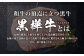 くまもと黒毛和牛 杉本本店 黒樺牛 A4~A5等級 ロースステーキ 200g×3 計600g