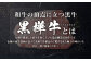 【3回定期便】くまもと黒毛和牛 杉本本店 黒樺牛 A4~A5等級 サーロインステーキ定期便 400g×3回