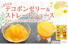 くまもとのデコポンゼリー ジュース セット 果物 柑橘 フルーツ デコポン ゼリー