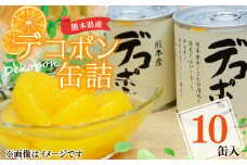 【熊本県産】 デコポン 缶詰 295g×10缶 果物 柑橘 フルーツ