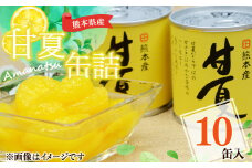 【熊本県産】 甘夏 缶詰 295g×10缶 果物 柑橘 フルーツ