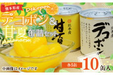 【熊本県産】デコポン 甘夏 缶詰 セット 10缶入 (各5缶) 果物 柑橘 フルーツ