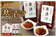 水俣特産 寒漬け 4袋 セット 100g×4袋 計400g 寒漬け