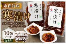 水俣特産 寒漬け 10袋 セット 100g×10袋 計1kg 寒漬け