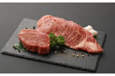 【定期便10か月】 熊本産 ステーキ 用 あか牛 定期便 10か月コース
