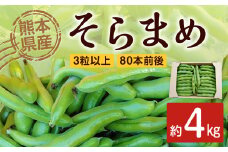  熊本県産 そらまめ 約4kg 3粒以上 80本前後 野菜 豆類 そら豆 【2025年4月上旬‐4月下旬迄発送予定】