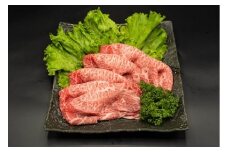 熊本県産 A5等級 和王 うでスライス 400g 牛肉 ウデ肉