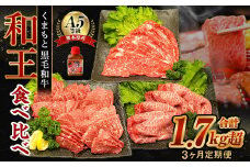 【3ヶ月定期便】 熊本県産 A5等級 黒毛和牛 和王 食べ比べ 合計約1750g 牛肉 セット