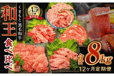 【12ヶ月定期便】 熊本県産 A5等級 黒毛和牛 和王 食べ比べ 合計約8kg 牛肉 セット