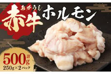 赤牛 ホルモン 500g (250g×2パック) 牛肉 お肉