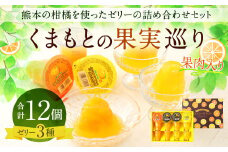くまもとの果実巡り 12個入り ゼリー詰め合わせ みかん 甘夏 デコポン 柑橘