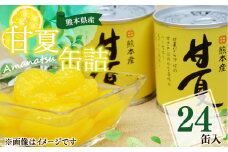 【熊本県産】 甘夏 缶詰 295g×24缶 果物 柑橘 フルーツ