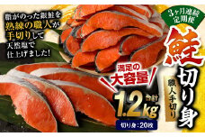 【3ヶ月定期便】鮭 切り身 20枚 ( 約1.2kg×3回 ) 計約 3.6kg サーモン