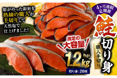 【4ヶ月定期便】鮭 切り身 20枚 ( 約1.2kg×4回 ) 計約 4.8kg サーモン