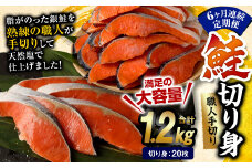 【6ヶ月定期便】鮭 切り身 20枚 ( 約1.2kg×6回 ) 計約 7.2kg サーモン