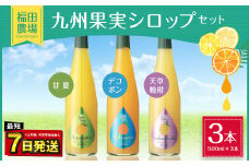 九州 果実 シロップ セット 500ml×3本 甘夏 デコポン 天草晩柑