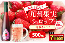 九州を飲む！九州果実 シロップ あまおう 500ml 1本 約25杯分 フルーツ 果物 いちご 苺 ジュース